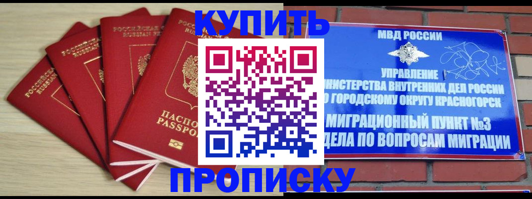 пропишу в квартире в Старом Осколе